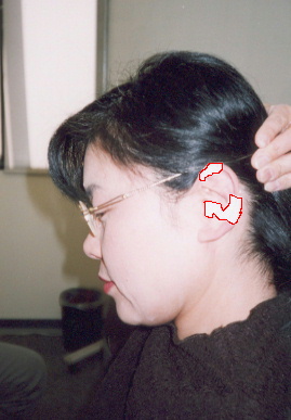 2002.3.21.ear_tape1.jpg (42873 バイト)