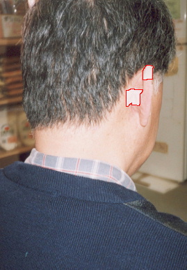 2002.3.21.ear_tape4.jpg (52543 バイト)