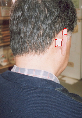 2002.3.21.ear_tape4.jpg (52543 oCg)