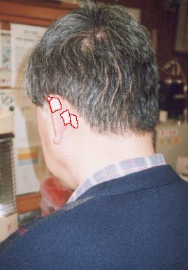 2002.3.21.ear_tape5.jpg (51737 バイト)