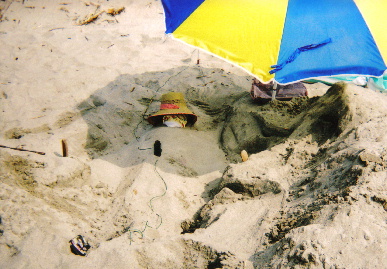 2005.7.29.genkigakuen3.jpg (75025 oCg)