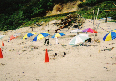 2005.7.29.genkigakuen4.jpg (71193 oCg)