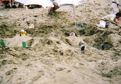 2005.7.30.genkigakuen3.jpg (92803 oCg)