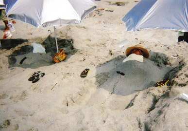 2005.7.31.genkigakuen4.jpg (66817 oCg)