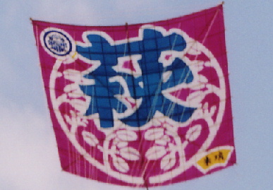 2006.5.3.tako9.jpg (52180 oCg)