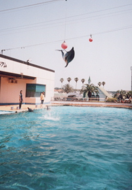 2002.5.26.minami_chita2.jpg (41434 バイト)