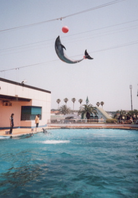 2002.5.26.minami_chita3.jpg (38906 バイト)