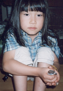 2002.6.20.suzume11.jpg (53616 バイト)