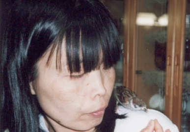2002.6.20.suzume5.jpg (44269 バイト)