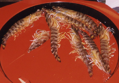 2003.12.6.bounenkai5.jpg (57393 oCg)