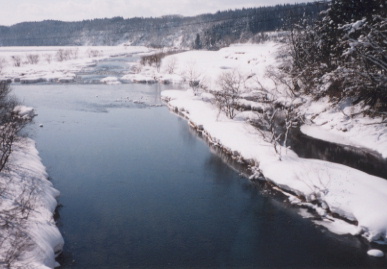 2003.2.4.akita28.jpg (46612 oCg)