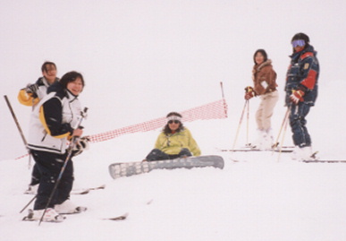 2003.2.4.akita3.jpg (31877 oCg)