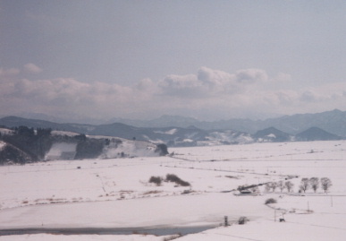 2003.2.4.akita31.jpg (29419 oCg)