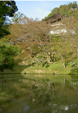 2003.4.10.hukiko5.jpg (76923 oCg)