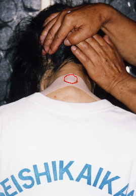 2003.8.21.tape34-1.jpg (45733 バイト)