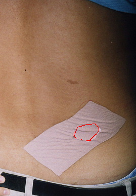 2003.8.21.tape6-1.jpg (43508 バイト)