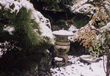 2004.1.17.zitaku2.jpg (79602 oCg)