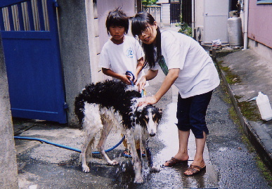 2004.8.7.tanuki3.jpg (77172 oCg)