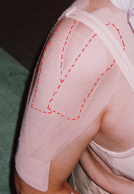 2004.9.1.tape3.jpg (48911 バイト)