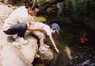 2005.5.22.seishikaikan_travel5.jpg (74917 oCg)