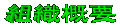 soshiki_gaiyou-logo.gif (2778 バイト)