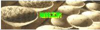 jikikoubou_banner.gif (54674 �o�C�g)