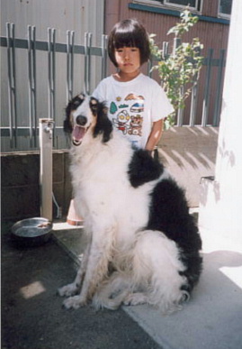 2001.9.7.もえと狸1.jpg (44780 バイト)