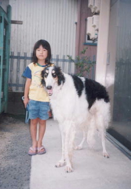 2001.9.7.もえと狸2.jpg (36727 バイト)