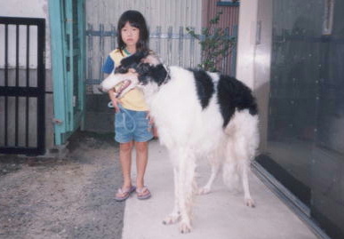 2001.9.7.もえと狸3.jpg (37174 バイト)