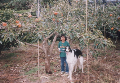 2002.11.1.moe2.jpg (76777 バイト)
