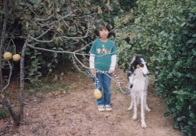 2002.11.1.moe3.jpg (68920 バイト)