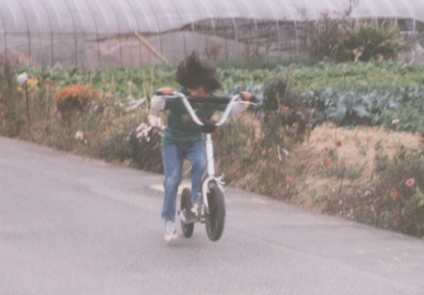 2002.11.1.moe4.jpg (40386 バイト)