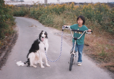 2002.11.1.moe6.jpg (55430 バイト)