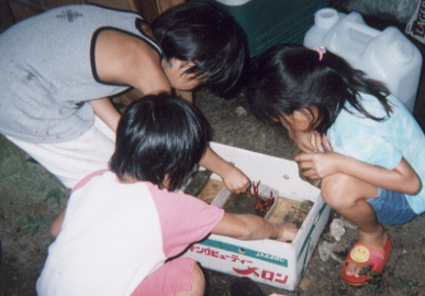 2002.8.24.〜25.karate-gassyuku10.jpg (51154 バイト)