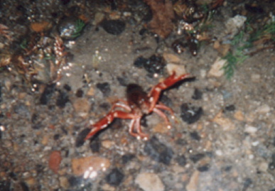 2002.8.24.〜25.karate-gassyuku8.jpg (51130 バイト)