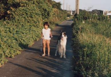 2002.9.20.moe&tanuki1.jpg (66852 バイト)