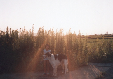 2002.9.20.moe&tanuki6.jpg (33593 バイト)