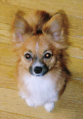 2005.10.28.mio1.jpg (50738 oCg)