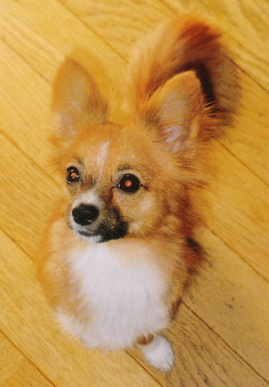 2005.10.28.mio2.jpg (50387 oCg)