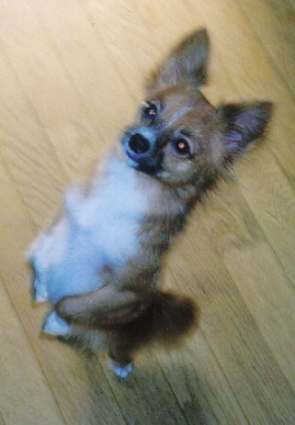 2005.10.28.mio3.jpg (47059 oCg)