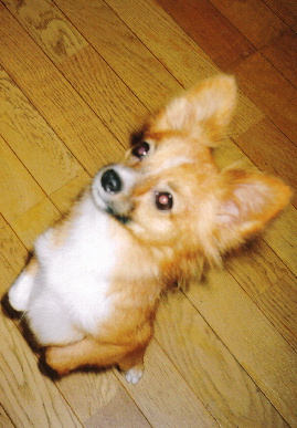 2005.10.28.mio4.jpg (62071 oCg)