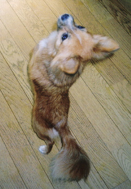 2005.10.28.mio5.jpg (66083 oCg)