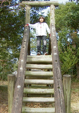 2005.11.21.moe7.jpg (94884 バイト)