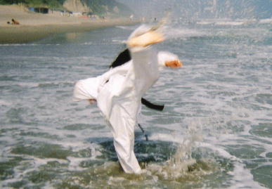 2005.7.30.moe_karate7.jpg (56820 バイト)