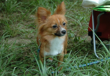 2005.8.28.karate_gassyuku29.jpg (73624 oCg)