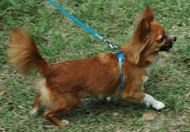 2005.8.28.karate_gassyuku57.jpg (70497 oCg)