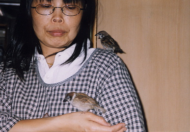 2003.10.15.momochi1.jpg (61081 バイト)
