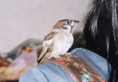 2003.10.26.momo1.jpg (42746 oCg)