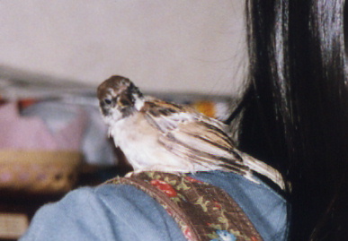 2003.10.26.momo2.jpg (42515 oCg)