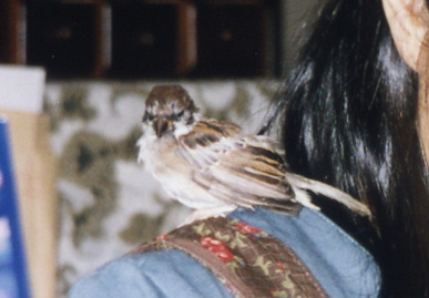 2003.10.26.momo3.jpg (44151 oCg)